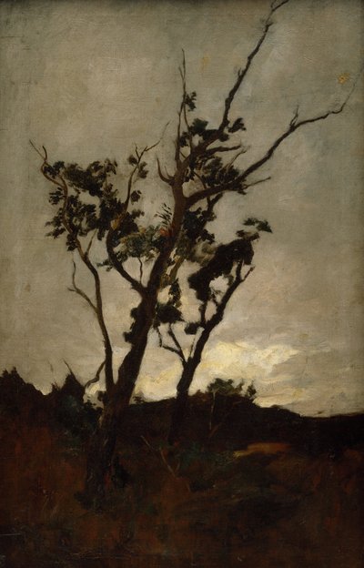 Tree Study by Petrus van der Velden